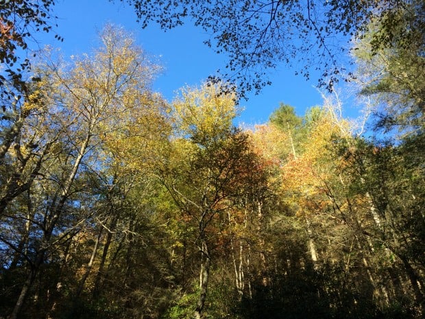 Autumn Sky and Color Georgia