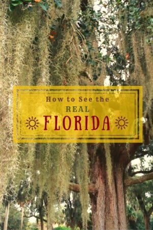 Eleven authoritative web sites run by locals to help you plan a road trip or travel itinerary to see the REAL Florida.