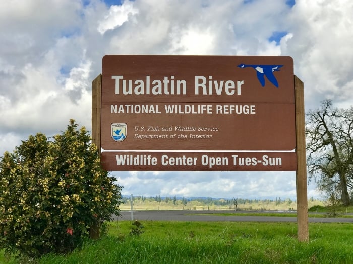 Vineyards & Valleys: A Tualatin Oregon Scenic Drive 5