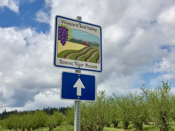 Vineyards & Valleys: A Tualatin Oregon Scenic Drive 2