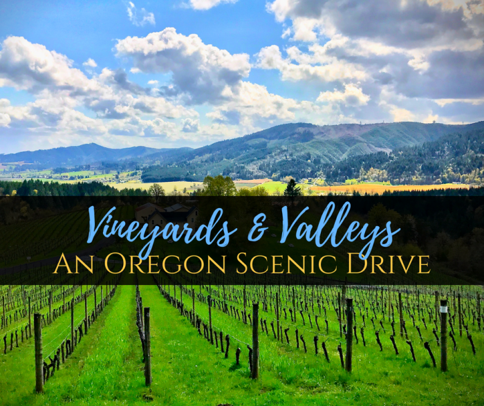 Vineyards & Valleys: A Tualatin Oregon Scenic Drive 1