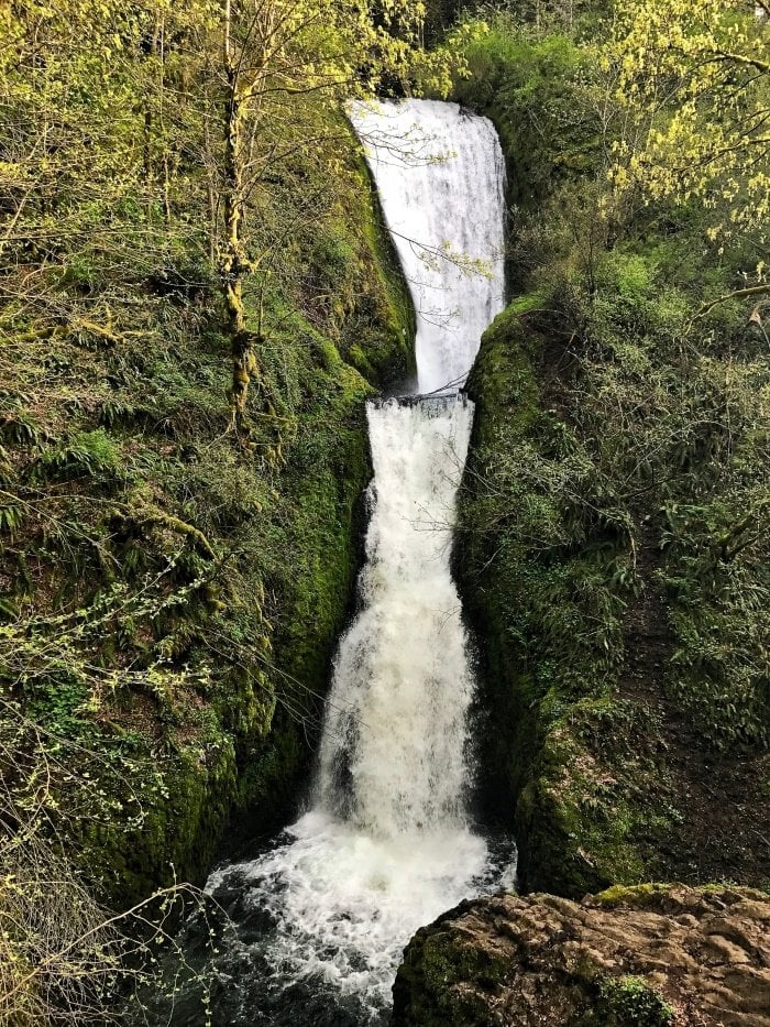 Roadside Waterfalls of Oregon's Columbia River Gorge 39