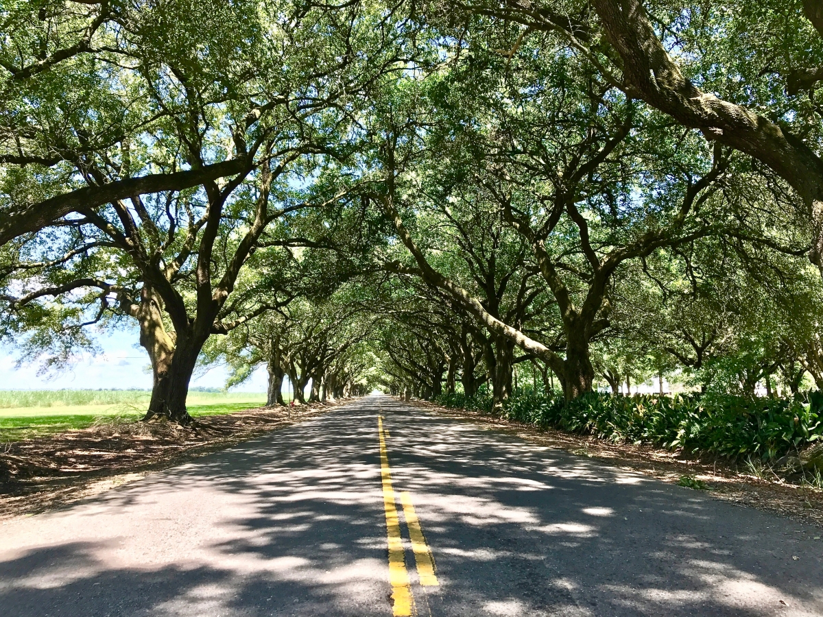 A Louisiana River Road Plantations Driving Tour 8