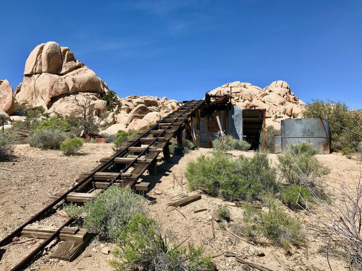 Best Hikes in Joshua Tree National Park on a One-Day Trip 49