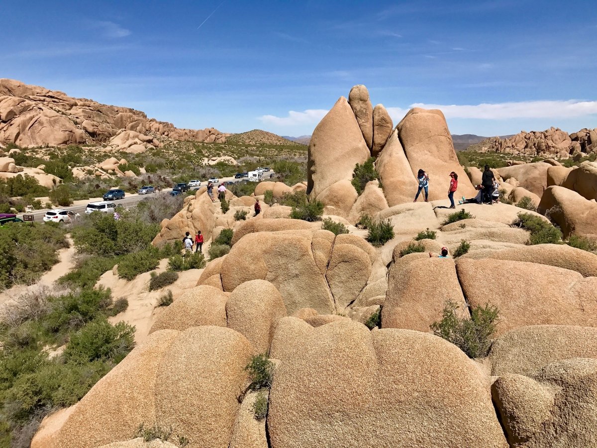 Best Hikes in Joshua Tree National Park on a One-Day Trip 64