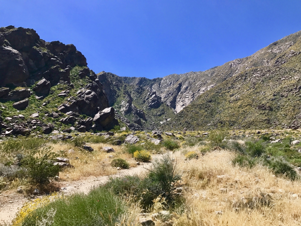 Take a Hike up Southern California's Tahquitz Canyon 4