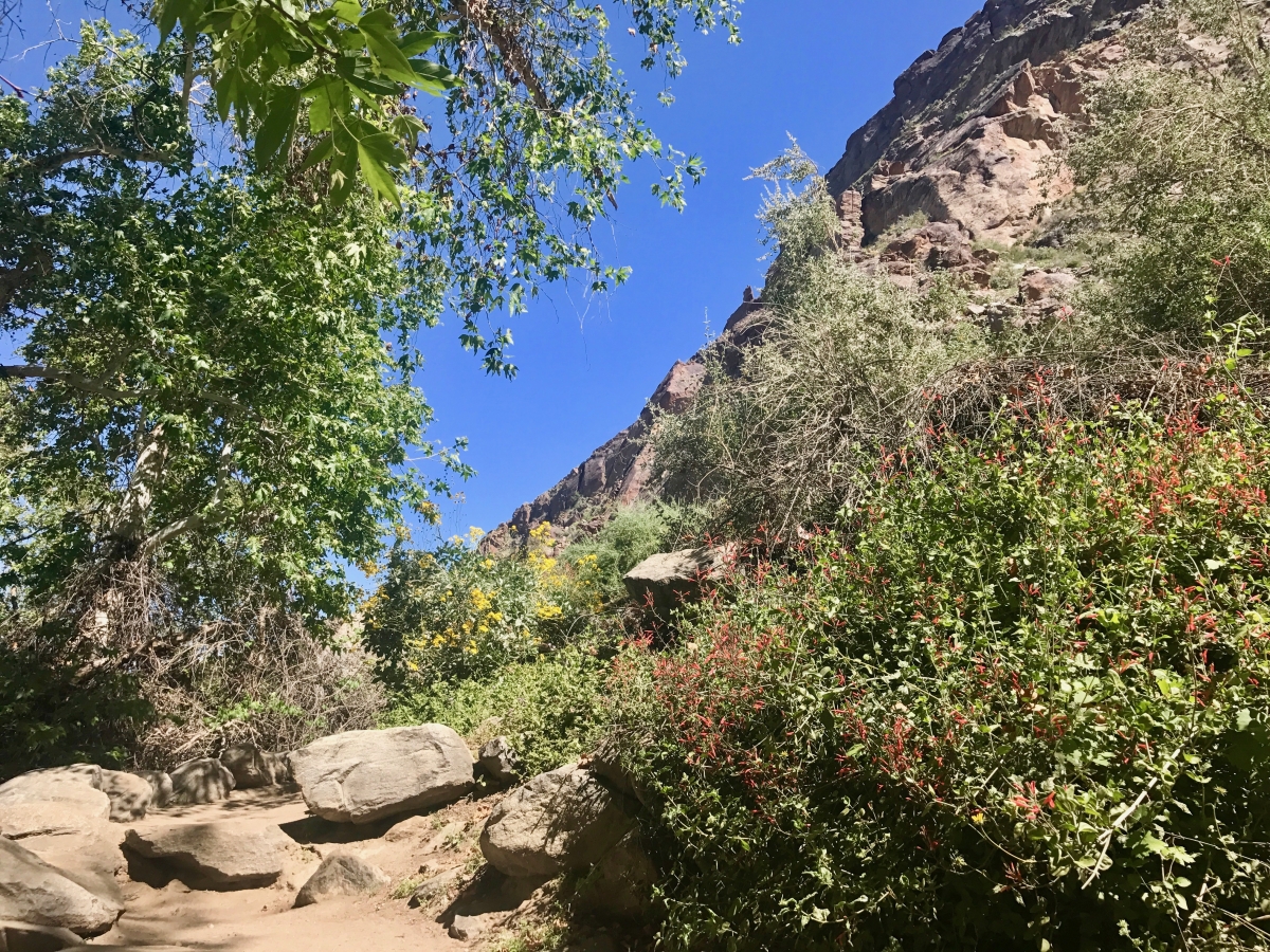 Take a Hike up Southern California's Tahquitz Canyon 31