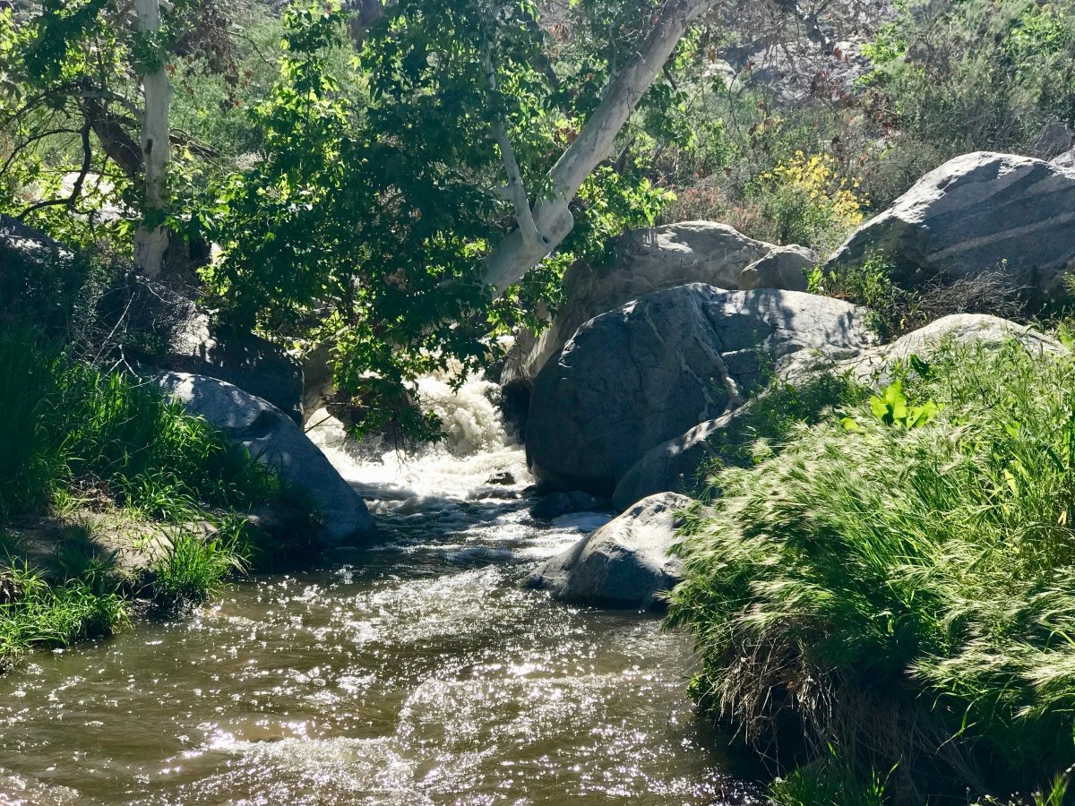Take a Hike up Southern California's Tahquitz Canyon 35
