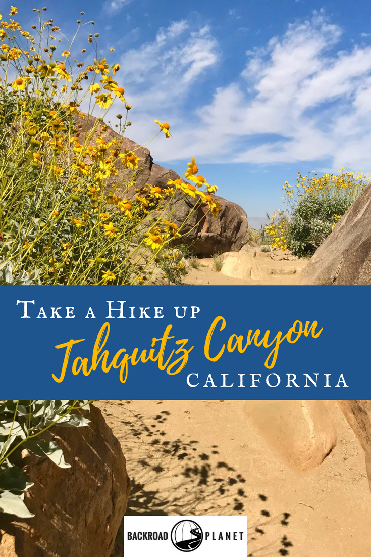 Take a Hike up Southern California's Tahquitz Canyon 49