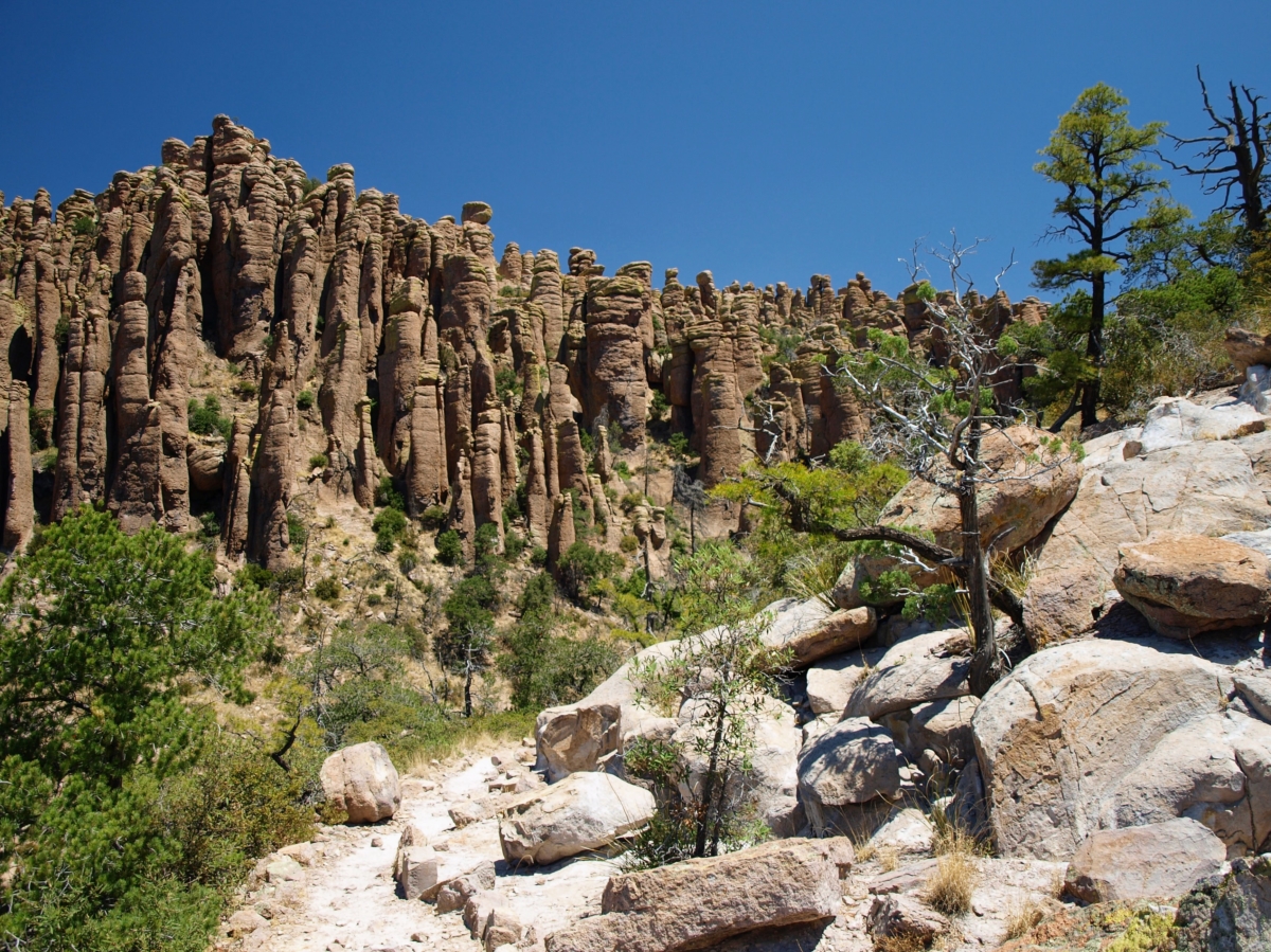 Explore the Geological and Cultural Diversity of Southeast Arizona 16