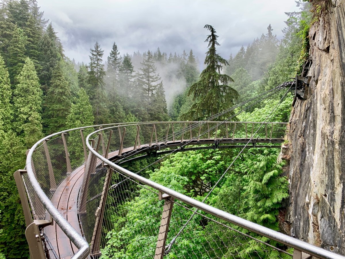 Tour Capilano Suspension Bridge Park and See Vancouver in a Day 6